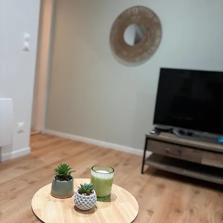 T2 Renove Au Calme * Labruguière