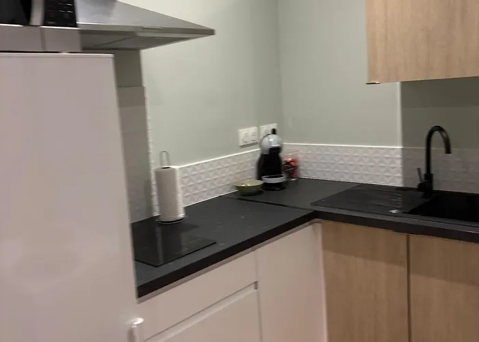 דירה T2 Renove Au Calme Labruguière